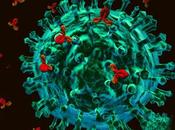 Antibodies Helps Regulating Immune Response Fight Against Various Disease