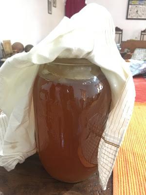 How the kombucha culture diffused into my life!