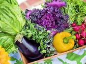 Free Best Sellers Nutrition eBooks