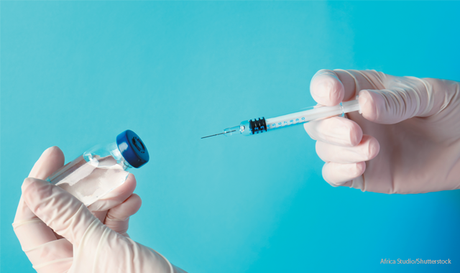 Global Shingles Vaccine Market Dynamics Shingles Vaccine Market