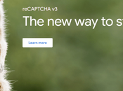 Google reCAPTCHA Gravity Forms