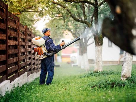 Why Pest Control Is The Best Way To Take Care Of Your Home