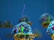 Cell-free Protein Expression Market Share, Growth, Opportunitites, Analysis, Trends, Size, Forecasts 2019 2027