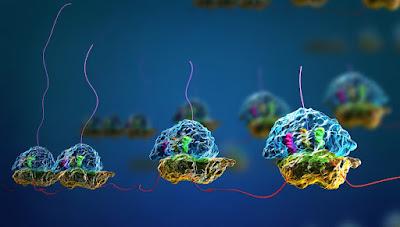 Cell-free Protein Expression Market Cell free protein expression is widely utilised to aid in the production of recombinant proteins, which may then be used in a variety of biomolecular processes.
