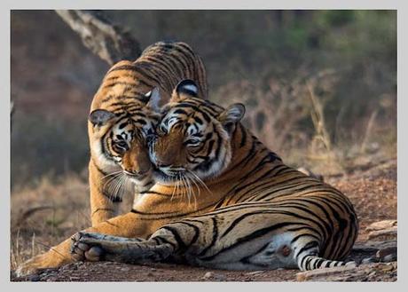 Top 10 Places to Visit in Rajasthan