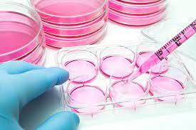 The global cell culture market is being driven by the increased prevalence of cancer and cardiovascular illnesses cell culture market