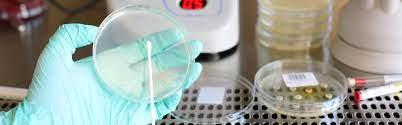 The pyrogen testing market was valued at USD 624.2 million in 2016 and is predicted to grow at a CAGR of 9.8 percent to USD 1659.04 by 2030. pyrogen testing market
