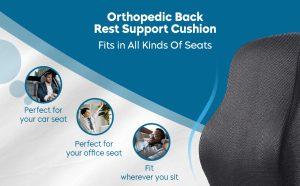 Lumbar Support Cushion