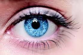 Vascular Endothelial Growth Factor (VEGF) Antibodies Market Most cancers produce vascular endothelial growth factor (VEGF), which not only aids tumour angiogenesis but also inhibits the development of DCs from hematopoietic progenitors.