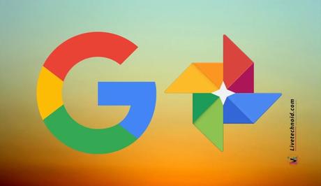 How to Recover Deleted Photos and Videos from Google Photos