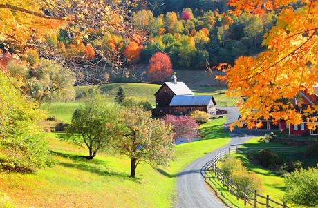 Why You Should Move to Vermont If You Want to Start a Family