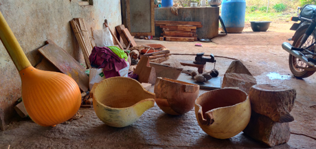 The Veena makers of Simpadipura – home to a dying  craft