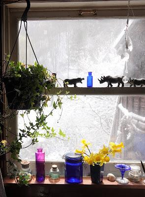 After the Big Snow
