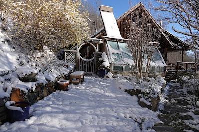 After the Big Snow