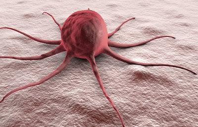 Cancer/Tumor Profiling Market Cancer/tumor profiling provides information about the genes that cause cancer, which can provide useful insights into the cancer mechanism.