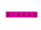 Strategies Manage Stress