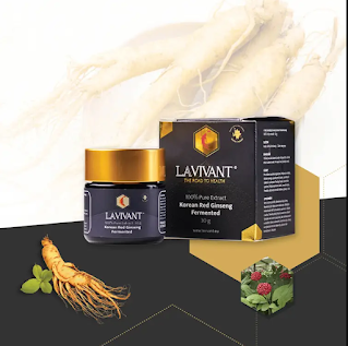 Panax Ginseng Panax Ginseng