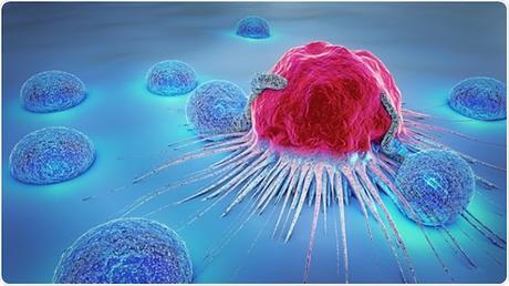 Natural Killer Cells; Play an Important Role in Innate Immune Responses to Infection