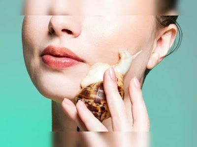 Snail beauty products are made from snails' natural secretion, slimy mucus or snail extract, which is used to make a variety of beauty products such as facial masks, serums, fading creams, moisturisers, and others.