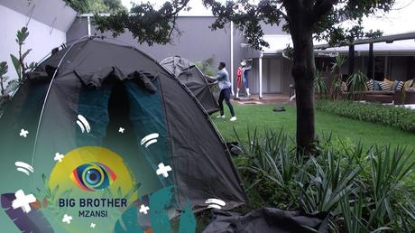 BBmzansi 2022: Are the Housemates being blockheads? – Day 52 BBmzansi 2022: Are the Housemates being blockheads? – Day 52