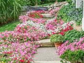 Inspiring Flower Ideas That Will Help Make Gorgeous Garden