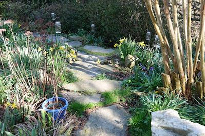 Springing Back