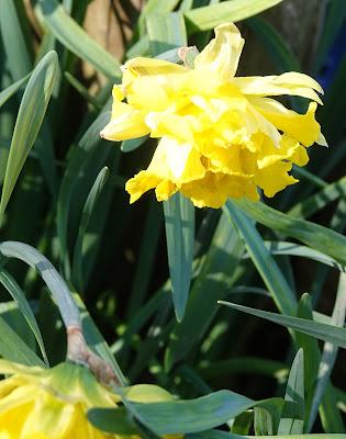 Springing Back