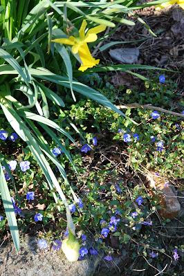 Springing Back