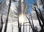 Sunlight Through Forest