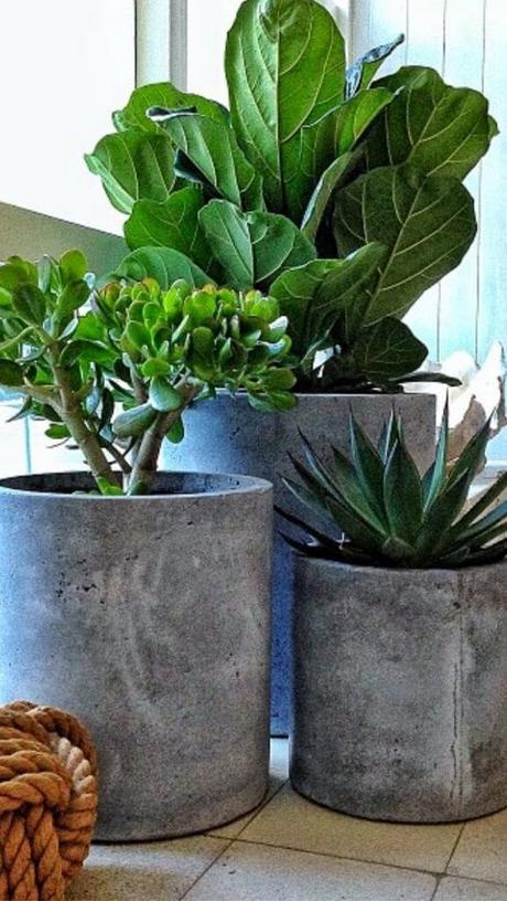 diy square concrete planter