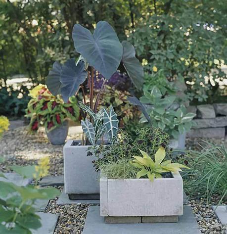 diy modern concrete planter