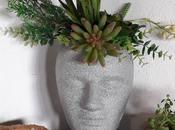 Unique Concrete Planter Designs (Upgrade Your Creativity)