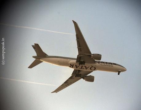 close-up of duck !  -  discharge from aircraft !!
