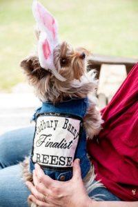 Hermitage pet plays in Cadbury Easter bunny match.