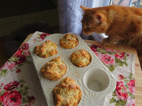 Buttermilk Biscuit Muffins