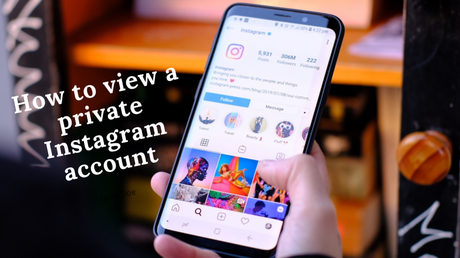 How to view a private instagram account