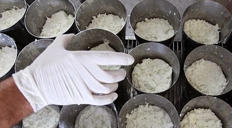 Pule, the priciest cheese from donkey milk !!