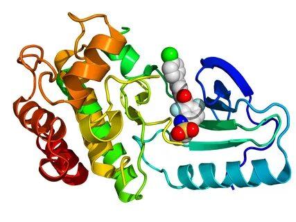 BRAF Kinase Inhibitors Tested In Clinical Trials For Melanoma Treatment Are Showing Positive Results Increasing Lifespan Of Patients BRAF Kinase Inhibitors