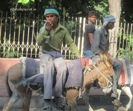 the chocking traffic - rides ........... and the tortoise ride