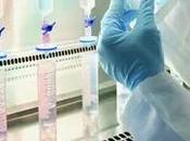 Protein Assays Market Product Type, Application Technology, User Global Forecasts 2022