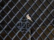 Observe Patterns Simply Picture