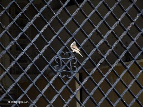 Do we observe patterns ! or simply see a picture !!