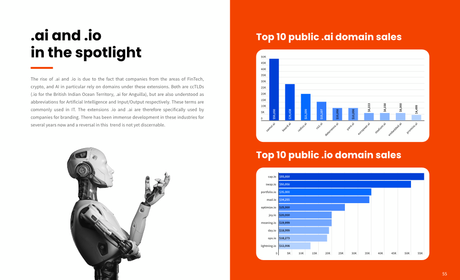 The Global Domain Report 2022