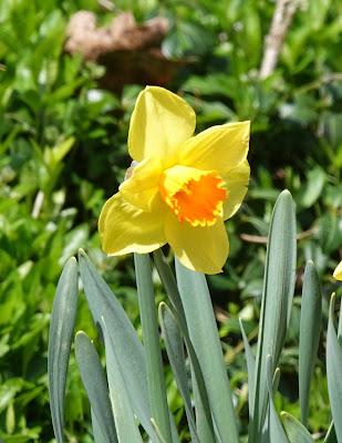 The Flowers That Bloom in the Spring, Tra La