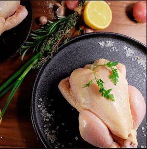 Yellow Chicken Yellow Chicken