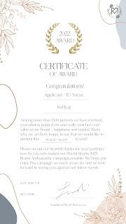 Playful Hearts - Brand Ambassador Campaign Bronze Award Winner