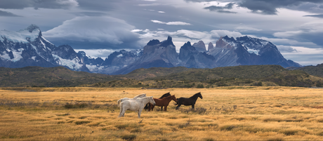The Wild Poetry Of Patagonia