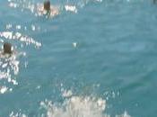 Where Dreams Come True Spectacular Diamond Retreat Dubai, 2017