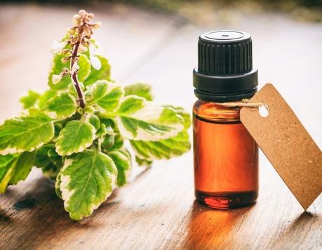 11 Solid benefits of frankincense essential oil