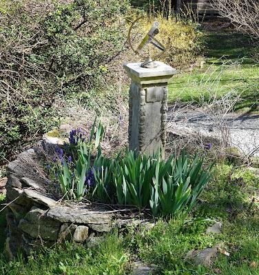 Exuberant Spring